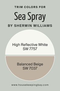 Trim colors, when used wisely, can significantly enhance the aesthetic appeal of a wall color. In the case of a soft, inviting shade like Sea Spray SW 9651 by Sherwin Williams, the choice of trim colors is crucial for framing the space and adding a level of sophistication. A well-chosen trim color can create a seamless transition between walls and accent details, or make a striking contrast that draws attention to the architectural features of a room.