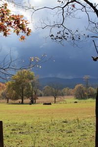 Cades Cove in the Great #Smokey Mountain Park while visiting Gatlinburg, Tennessee