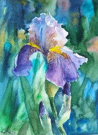 Buy Iris, Watercolor by Ann Krasikova on Artfinder. Discover thousands of other original paintings, prints, sculptures and photography from independent artists.