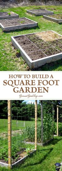 Building a square foot garden is a quick and easy way to begin or expand your garden. The method is also simple to understand, organized, and makes it easy to plan your growing beds.