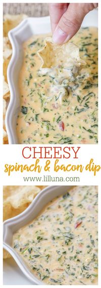 Cheesy Spinach and Bacon Dip - one of the easiest and most delicious dips you'll ever make! All it takes is cream cheese, Velveeta, spinach, diced tomatoes, and bacon!!