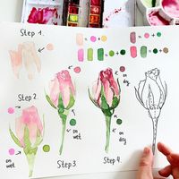 How to Watercolor Paint for Beginners: Get Started With Watercolor - Beautiful Dawn Designs