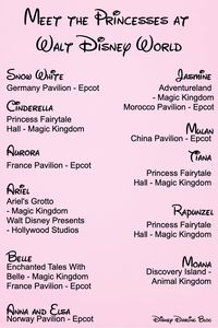 A cheat sheet for your Walt Disney World trip planning!