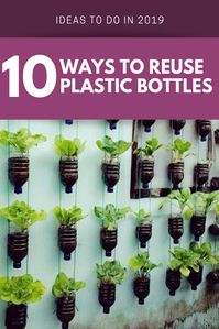 One of the best things an individual can do in order to save the planet is to upcycle! Explore these wonderful ways to reuse those plastic bottles! #reuse #recycle #upcycle #plastic #plasticbottles #recycleplastic #upcycleplastic #reuse plastic