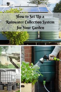 How to Set Up a Rainwater Collection System & 8 DIY Ideas