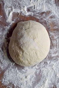 Easy Instant Pot Pizza Dough - Lynn's Way of Life