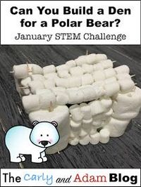 Make Your New Year's Resolution Be STEM (January STEM Activities)