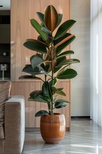 Discover the best indoor plants that will thrive even in low light conditions! Whether you're a beginner plant parent or looking for air-purifying greenery, these top picks are sure to brighten up your space. From lush green foliage to easy-care succulents, there's a perfect plant for every home. Bring the beauty of nature indoors with these recommended plants that not only look great but also help clean the air. Elevate your indoor garden with these best indoor plants chosen especially for you!