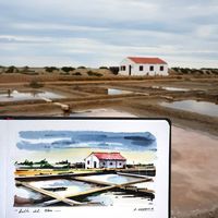 Alicia Aradilla on Instagram: “Even in a cloudy and windy day, Ebro Delta doesn't loose the magic, reflections, salt pans, pink flamingos and rice fields. Enjoying the…”