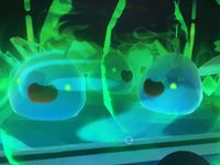 My Rad/Phosphor slimes are a bit creepy but I still love them anyway :)