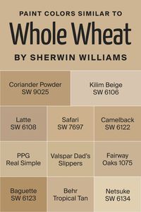 If you are unsatisfied with how SW Whole Wheat works in your home, you might want to try other colors instead. For this purpose, it’s a good idea to have a few alternative hues at hand that read nearly the same. Below, we have prepared several color options for you to check out: Behr Tropical Tan BM 1075 Fairway Oaks PPG Real Simple Valspar Dad’s Slippers SW 6122 Camelback SW 7697 Safari SW 9025 Coriander Powder SW 6123 Baguette SW 6108 Latte SW 6134 Netsuke SW 6106 Kilim Beige