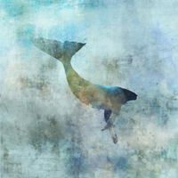 Sea Whale 01: Giclee Fine Art Print 13X19