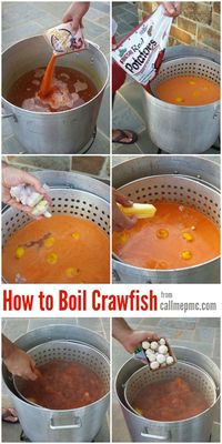 How to Boil Crawfish | Crawfish Recipe - Including a Crawfish Boil Recipe, where to purchase, how much you’ll need per person, how to store, boil, and serve.