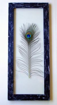 Genuine Peacock Feather Framed (glass on the front and back, so you can see through) Wall Art. (I would probably use a less rustic frame...Something fancier... either painted black or a rich, dark purple...) I really like this idea! by fay