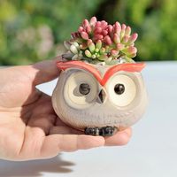 Adorable Addition to Your Space Bring a touch of whimsy and charm to your home or office with our Cute Owl Ceramic Flower Pot. This delightful succulent mini owl planter is not just a decoration but a statement piece that adds personality to any space. Crafted from high-quality ceramic and finished with glazed detailing, each flower pot is as durable as it is adorable. Measuring just right, it fits seamlessly on any desktop, shelf, or windowsill, adding a pop of color and cuteness wherever it's