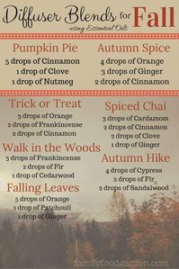 100+ Ideas for a Cozy Fall: Autumn Recipes, Drinks, Decor & More ~Family Food Garden