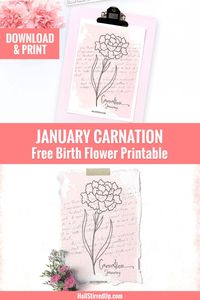 Download a free January Carnation Birth Flower printable! Featuring a delicate handdrawn Carnation illustration, with a soft watercolor wash and handwriting background. This free January Birth Flower printable is perfect for dorm, home office, or home school decor. Use for wintertime paper crafts or your junk journal. Quick to download and print!