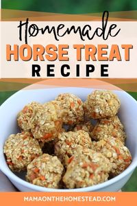 Make yummy treats for the equine members of your family with this simple recipe! With only 7 ingredients and 20 minutes you can whip up a batch of these healthy homemade horse treats! #horses #horsetreats #horsecare #homesteading #homesteadanimals #farmanimals #homemade #homemadetreats