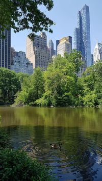 Central Park New York