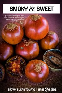 A Russian heirloom with silky texture and a smoky, complex flavor. Black tomatoes are famous for their rich, nuanced flavor, and the 7-oz., globe- shaped fruit of Brown Sugar does not disappoint. This is a gourmet, sugar-sweet tomato, just perfect for snacking, slicing, cooked dishes, and sauces.