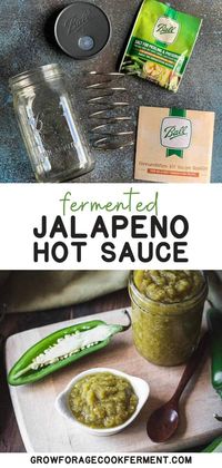 Fermented Jalapeño Hot Sauce Recipe: Fermenting Jalapenos- You're going to love this spicy fermented food recipe made with jalapeno peppers. Fermenting peppers for hot sauce gives them a unique flavor that is perfect in all kinds of hot sauce recipes. They're loaded with probiotics, making them a gut healthy food choice. fermented hot peppers | fermented hot pepper sauce