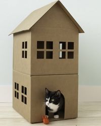 How To Make A Cardboard Cat House (DIY)