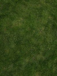 Photoshop Tutorial: How to create a tileable grass textures with the Pattern Filter » tonytextures.com