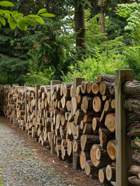 Garden Fence