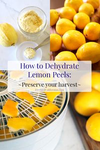 Homemade lemon powder is bright, zesty, and a fantastic addition to your home pantry. Learn how to dehydrate lemon peels and transform them into a delicious seasoning with this easy tutorial. #lemonpeel #lemonpowder #dehydrate #lemonrecipes