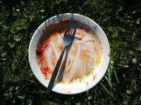 An empty plate in the sunshine