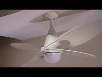 Butterfly Outdoor Ceiling Fan | Monte Carlo