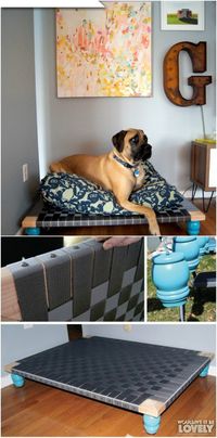 Raised Bed For Large Breeds