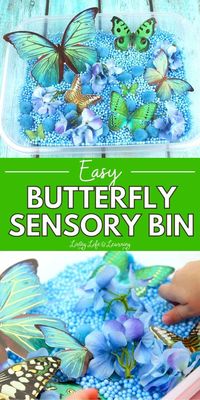 Introduce your child to butterflies with this easy butterfly sensory bin. Get creative with colors, textures and even scents and stimulate their curiosity. A fun bug or insect activity to add to your science lessons.