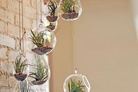 Air Plant Terrarium DIY - Learn how to care for air plants and create terrariums. A how to Workshop.