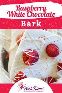 Sweet and simple- this raspberry white chocolate bark is a tasty take on a seasonal staple!