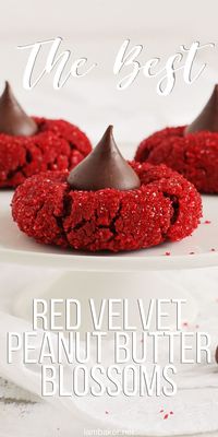 These are an updated version of the classic Peanut Butter Blossom, but so pretty and so festive! #peanutbutterblossoms #redvelvetpeanutbutterblossoms #redvelvetkisscookies #kisscookies #cookies #cookierecipes #baking #christmascookies #christmascookieexchange #cookieexchange #iambaker #iambakerrecipes