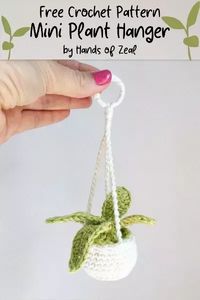 Free crochet pattern for a mini plant hanger that can be used with air plants or small