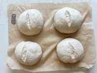 Have you ever wanted to make sourdough mini loaves or bake multiple sourdough loaves at once? This small batch sourdough bread recipe is for you! Great for gifts or smaller households, learn how to make 4 mini sourdough loaves at once. #minisourdoughloaves #farmhouseonboone