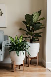 Discover creative planter ideas to showcase your indoor plants. Perfect for adding style and greenery to your home! #IndoorPlants #Planters