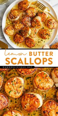 Whip up these garlic lemon butter salmon! 5 ingredients are all you need to have this seafood dish ready in just 10 minutes. So fancy with an amazing flavor, this easy scallop recipe will become one of your favorite weeknight dinners for family!