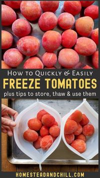 Freezing whole fresh tomatoes is a quick and easy way to preserve them. When you’re too busy (or too hot!) to spend hours over the stove making sauce or canning tomatoes, just pop that bumper crop in the freezer instead! Come learn tips on how to make, store, thaw, and use frozen tomatoes. #tomatoes #preservingfood #garden #homestead