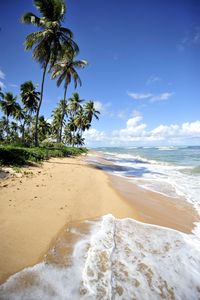 Salvador de Bahia. Paradise beach in Praia do Forte, Salvador de Bahia state, Br , #affiliate, #Bahia, #Paradise, #Salvador, #de, #beach #ad