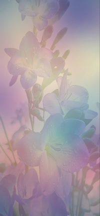 Iphone lockscreen & wallpapers flowers