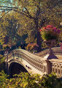 Bow Bridge in Central Park Manhattan, New York City. I'll have to visit this when I go this summer!