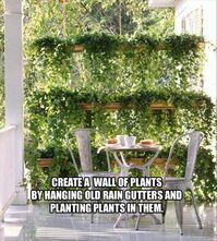 "Create a wall of plants by hanging old rain gutters and planting plants in them." I love the look of the plants used in this photo. Such a good idea!