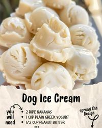 Recipe for dog safe ice cream