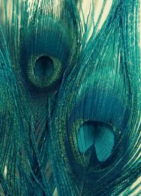 Teal Peacock Feathers -  Bird Feathers, Wall Art, Blue Green Navy, Home Decor - Fine Art Photography, In Stock - 5x7. $18.00, via Etsy.