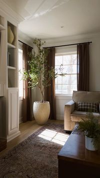 Olive tree, curtains, amber interior, living room design, living room aesthetic, neutral living room, plaid pillow, lumbar pillow, area rug, living room decor, house decor, house inspo