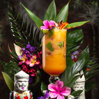 Garden of the Gods, Modern tiki Mai Tai with amaro and freeze-dried fruit, a cocktail created by artificial intelligence.