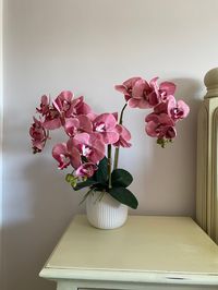 3 vintage pink orchid stems in a ribbed white ceramic pot with roots and orchid phalaenopsis leaves